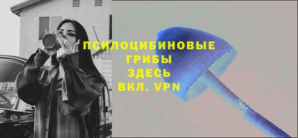 герыч Осинники
