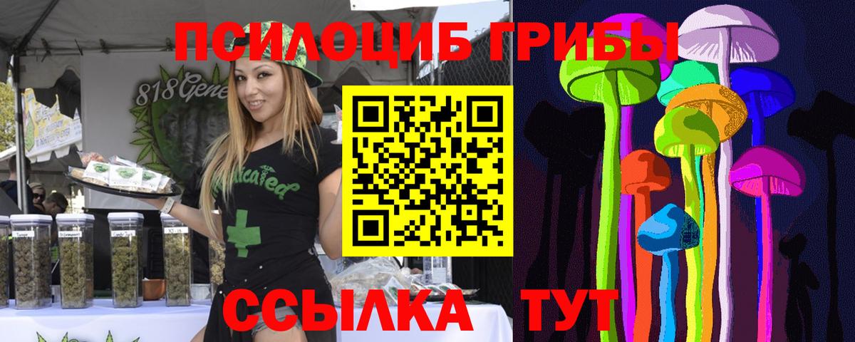 купить наркотик  Нальчик  Галлюциногенные грибы ЛСД 